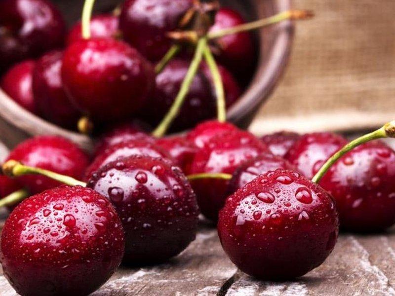 Вишня купить саженцы из питомника в Таганроге